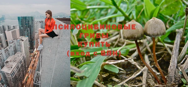 мяу мяу мука Алексин