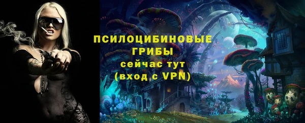 ПСИЛОЦИБИНОВЫЕ ГРИБЫ Алексеевка