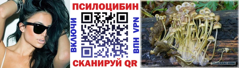 Галлюциногенные грибы мухоморы  наркошоп  shop Telegram  Багратионовск 